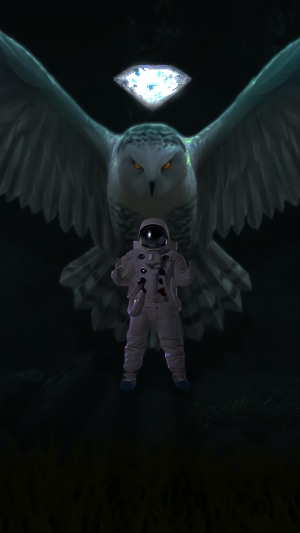 Astronaut and owl with diamond