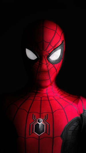 Spiderman cosplay 4K