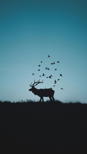 Silhouette of a deer with birds flying around it