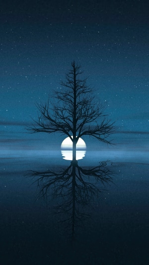 Bare tree reflecting in water under starry night sky