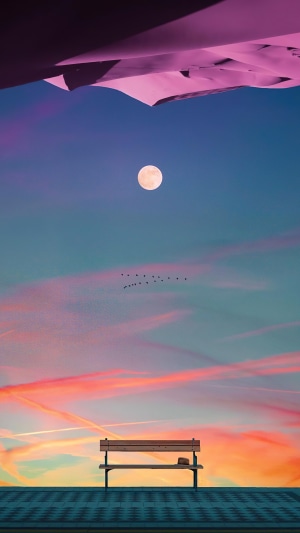 Bench with Moon and Birds