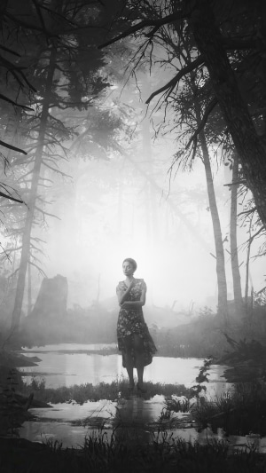 Woman in a dress in a foggy forest with water