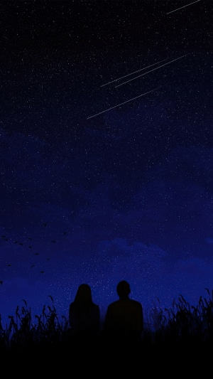 Couple watching shooting stars in a field