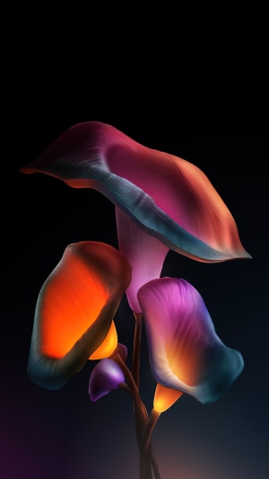 Digital art of glowing calla lilies on a dark background