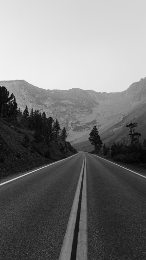 Monochrome road through a mountain landscape with trees