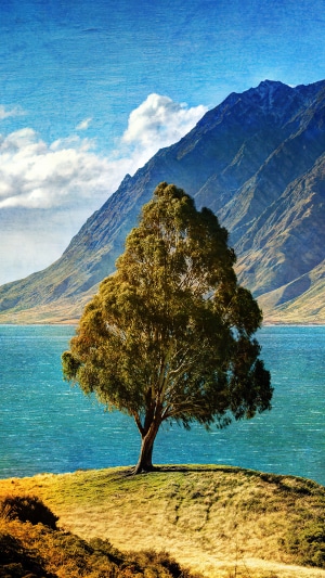 Tree on a hill by a lake with mountains