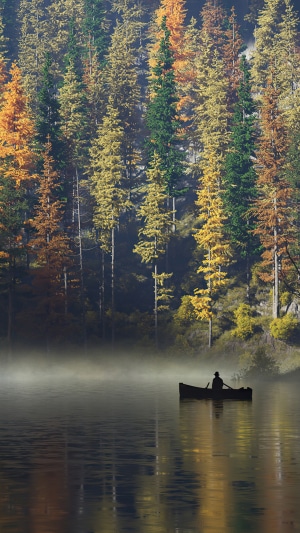 Canoeist on a Misty Lake with Autumn Forest