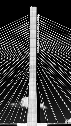 Monochrome cable-stayed bridge tower