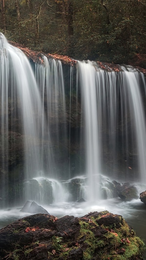 Waterfall in a forest, 4K