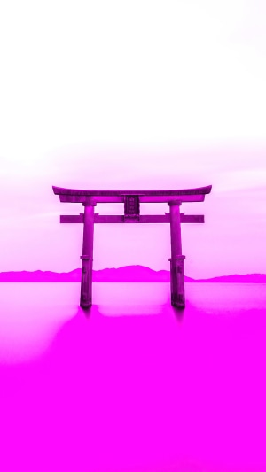 Torii gate in water with mountains