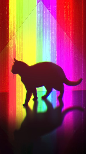 Silhouette of a cat against a rainbow prism effect
