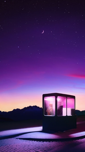 Cat in a glowing booth under a starry night sky