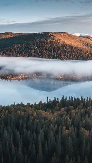 Forests and lake with fog and mountains