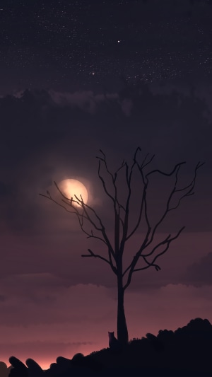 Night scene with moon, bare tree, and cat