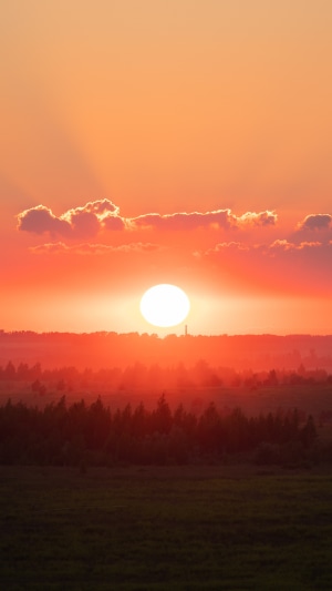 Sunset over a forest and fields