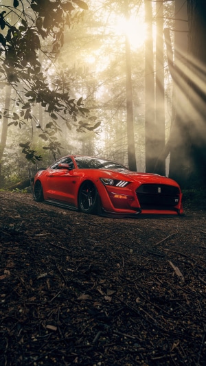 Red Ford Mustang GT in a Forest