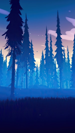 Silhouette trees in a misty forest at dusk