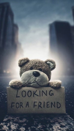 Teddy bear holding a sign "Looking for a friend"