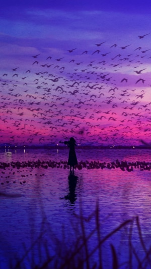Girl playing violin with flock of birds at sunset