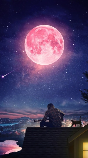 Night Scene with Guitar and Cat on Roof