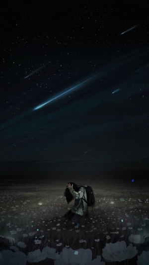 Person kneeling in a field of flowers under a starry sky with shooting stars