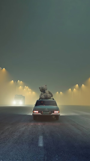 Teddy Bear on Car Roof on Foggy Highway