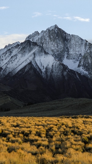 Snow-capped mountain range over golden field