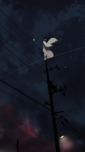 Girl on power line at night