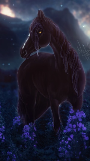 Dark horse in a field of purple flowers