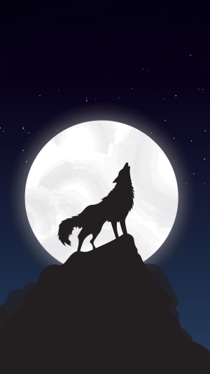 Silhouette of a wolf howling at the moon on a rocky cliff