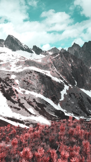 Snow-capped mountains with red pine trees and turquoise sky