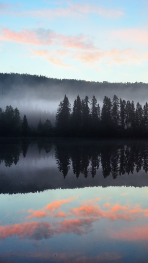 Lake reflection of misty forest and pink clouds at sunrise
