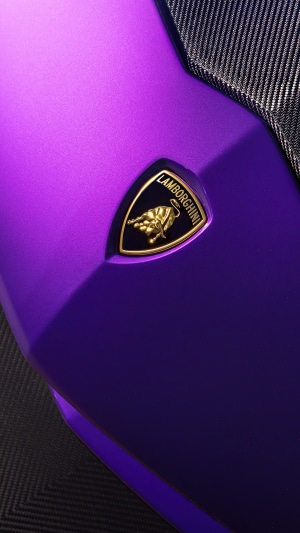 Lamborghini Aventador emblem on purple car