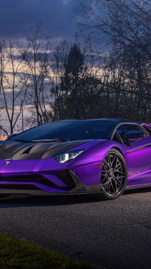Purple Lamborghini Aventador parked on a road