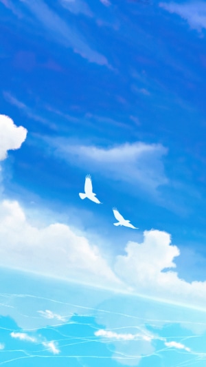 Two birds flying in the sky over the ocean