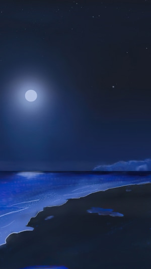 Night beach with moon and stars