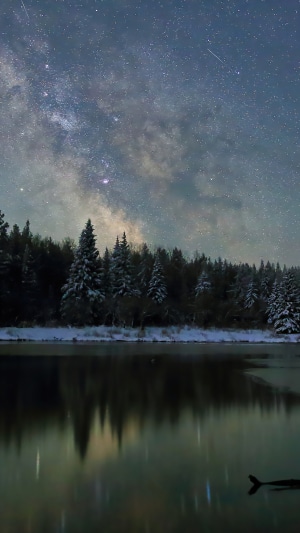 Milky Way over a snowy forest and lake