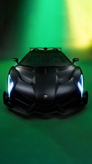 Matte black Lamborghini Veneno Roadster