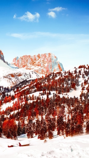 Snowy mountains with pine trees and a cabin