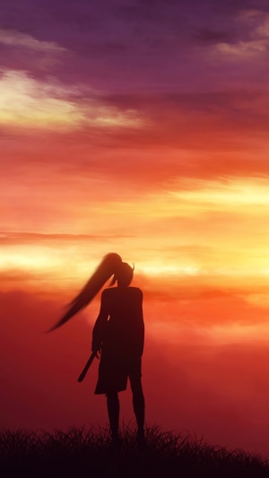 Silhouette of a warrior against a sunset