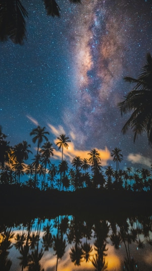 Palm trees reflecting in water under the Milky Way