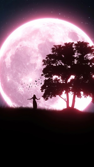 Silhouette of a woman and a tree under a large pink moon