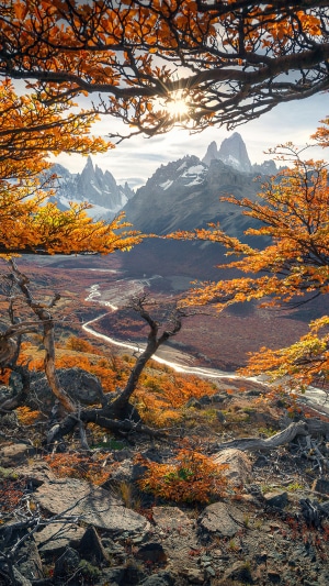 Autumn forest with mountains and sun