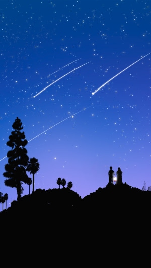 Couple watching shooting stars on a hill