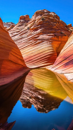 The Wave sandstone formation with a pool of water