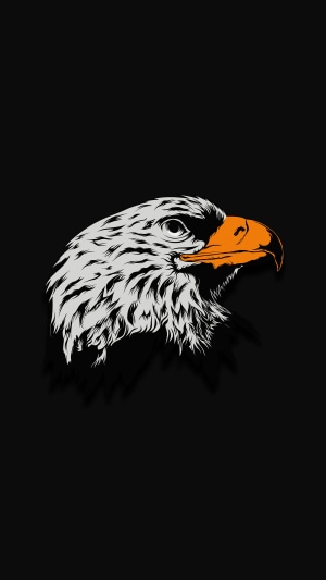 Illustration of an eagle's head on a black background
