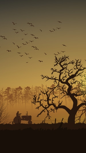 Farmer on a tractor with birds and trees