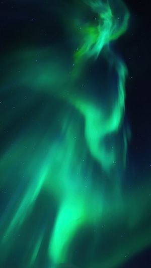 Green Aurora Borealis in a Starry Night Sky 4K