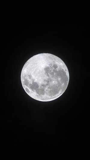 Full Moon in a Clear Night Sky