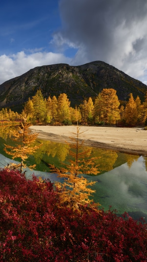 Autumn lake with mountain and yellow trees 4K